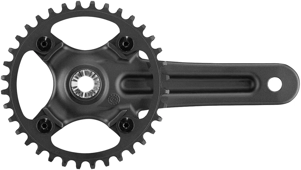 Campagnolo Kettenradgarnitur Ekar GT 13s 172,5 mm 44 Zähne schwarz Mega-Angebot
