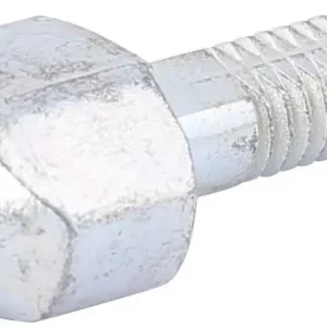 Campagnolo Stellschraube Schaltwerk Xenon/Champ Triple Markenware