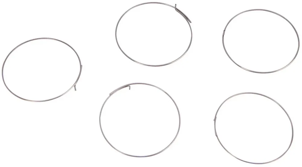 Fulcrum Sperrklinkenfeder Satz à 5 silber Preiswert
