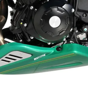 BODYSTYLE Sportsline Bugspoiler ABS Kunststoff grün für KAWASAKI Z650 RS Günstig