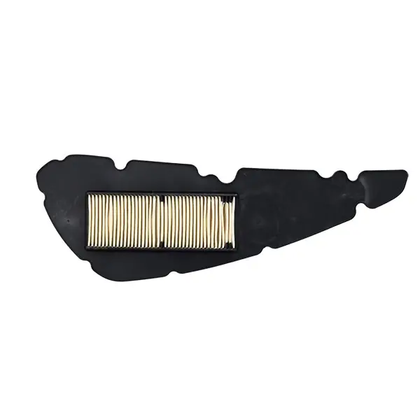 Direktkauf MIW Luftfilter P5169 für Piaggio 400 Beverly 4T (21-22), MP3 E5 (21)