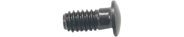 Campagnolo Nippeleinsatz Zonda schwarz Heißes Angebot