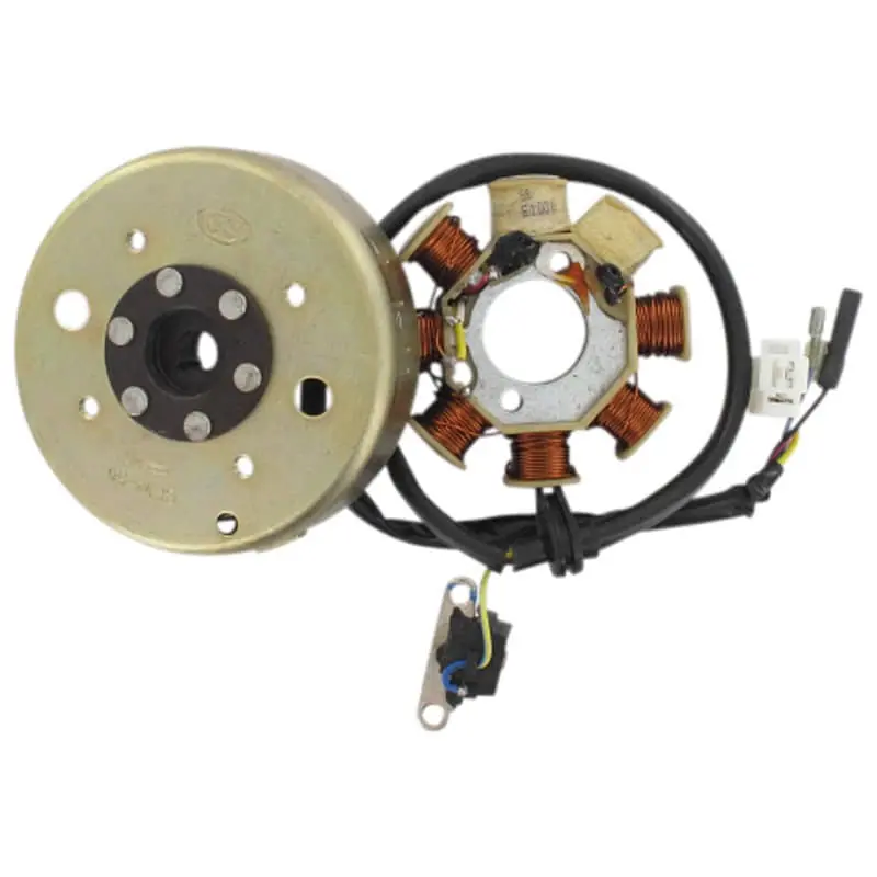 Angebot Lichtmaschine 8 Spulen mit Polrad pick up außen 50ccm 4Takt Stator Ankerplatte Anker-Platte Stromerzeuger Strom-Generator Zündplatte