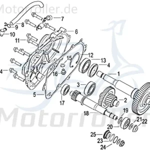 Jonway Insignio 250 DD Schlauchhalter Jonway Insignio 250 DD 750597 Gummiclip für Benzinschlauch Halteröse 250ccm 4Takt Scooter Service Ausverkauf