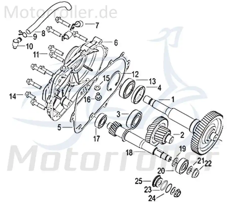 Jonway Insignio 250 DD Schraube M8x16mm 250ccm 4Takt 750638 Bundschraube Maschinenschraube Flanschschraube Flansch-Schraube Scooter Sale