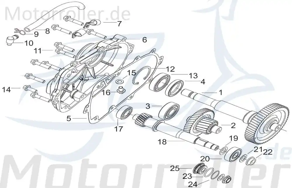 Jonway Insignio 250 DD Kugellager 250ccm 4Takt B12016000602 Wälzlager Rillenkugellager Nadellager Rollenlager Kugel-Lager Wellenlager Bestpreis