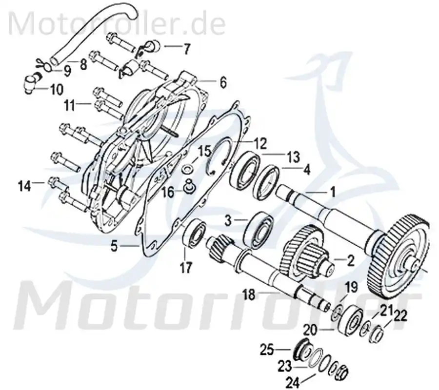 Solange Der Vorrat Reicht Jonway Insignio 250 DD Sicherungsring 250ccm 4Takt B080000055A1 55mm Schelle Befestigungsklemme Sicherungsklemme Sicherungsclip Scooter