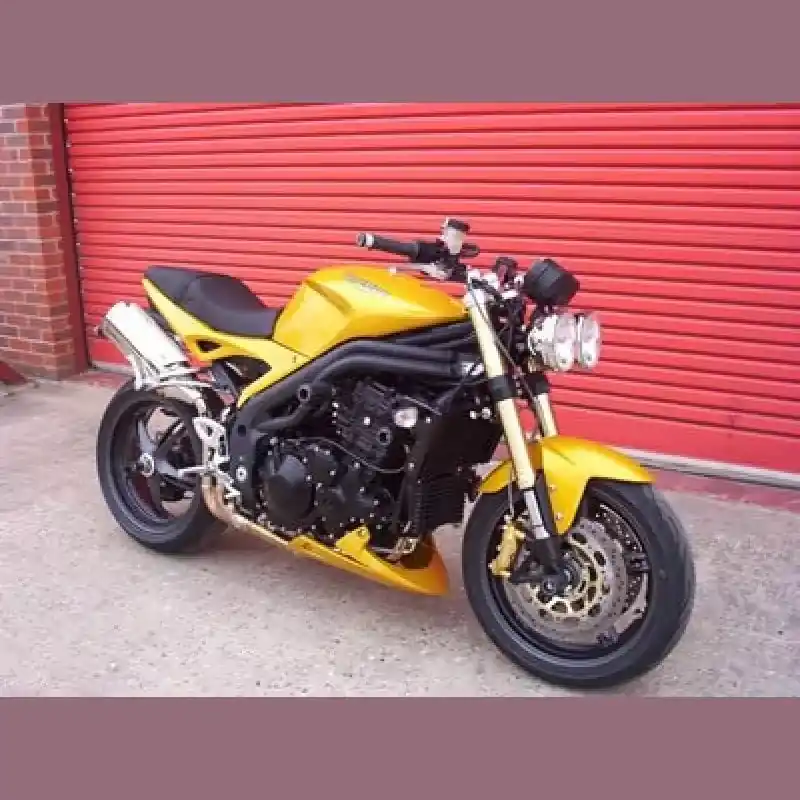 R&G Racing Sturzpads hinten No Cut passend für Triumph Speed Triple 1997-2007 Wochenendangebot