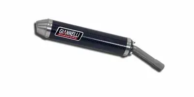 Giannelli Endschalldämpfer passend für Peugeot XP6 SM 06/07 Must-Have