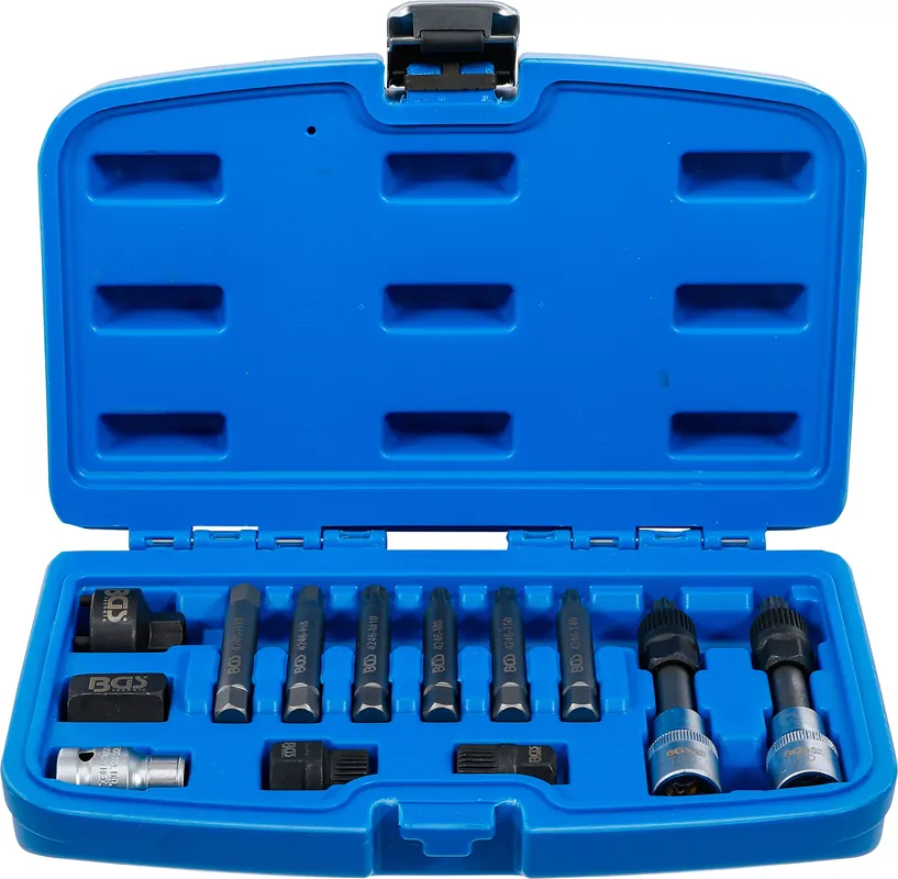 Markenprodukt Lichtmaschinen Bit- und Bit-Einsatz-Satz 13-tlg. mit 1/2 Zoll Antrieb