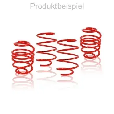 Neuheit K.A.W. Tieferlegungsfedern passend für Rover 620 i RH/A