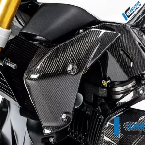 Wasserkühlerabdeckung links Carbon passend für BMW R 1250 R (LC) Saisonangebot