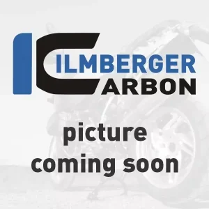 Expressversand Ilmberger Carbon Windkanal rechts passend für BMW R1200GS