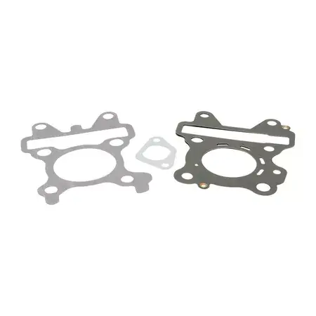 Dichtungssatz Zylinder Polini 66ccm Yamaha Aerox 4T Top-Angebot