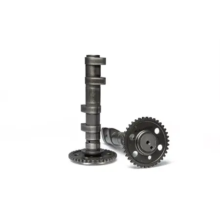 Neu Doppel Nockenwelle Malossi Power Cam Yamaha Tmax 560