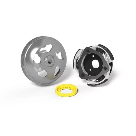 Kupplungskit Malossi Delta Clutch 135mm Honda Forza 125 Garantierte Lieferung