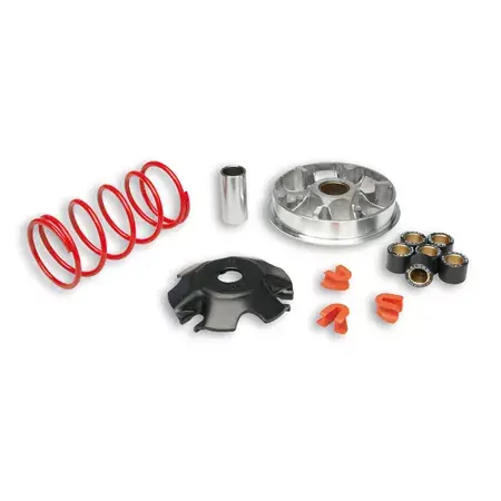 Variomatik Malossi Multivar 2000 Yamaha D‘elight 115 Beliebt