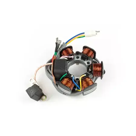 Zertifiziert Lichtmaschine / Zündung ohne Rotor Piaggio Purejet