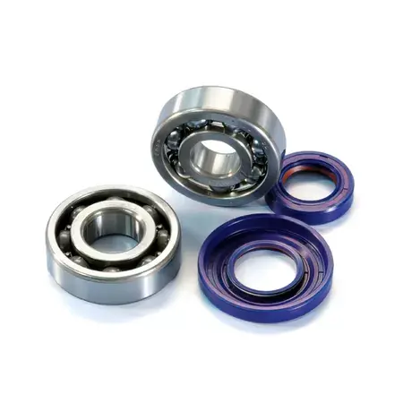 Knallerangebot Lager- + Wellendichtringe Polini f. Kurbelwelle (20mm Lagersitz) Vespa 50cc PK / 125cc Primavera