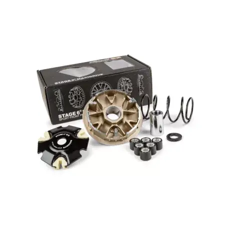Finale Aktion Variomatik Stage6 MAXIDRIVE 20x17mm 10.0gr / Gegendruckfeder Piaggio LEM 125cc 4-Takt