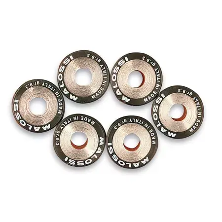 Schnäppchen Variomatikgewichte Malossi 19x15.5mm - 11,0g