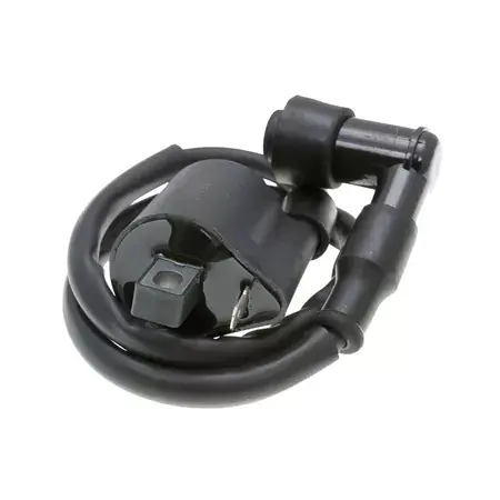 Zündspule mit Kerzenstecker für Generic Trigger Direktkauf