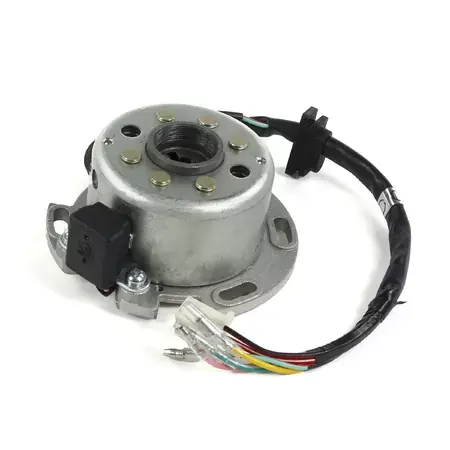 Zündung Minirotor Pitbike Motor Lifan 150cc Echt