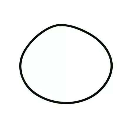 Dichtung (O-Ring) Abdeckung Variomatikdeckel Piaggio Markenware