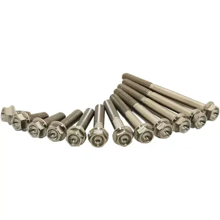 Expressversand Titan-Schrauben Scar M6X10 (x2)