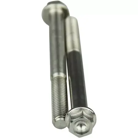 Must-Have Titan-Schrauben Scar M6X65 (x2)