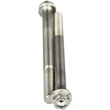 Markenware Titan-Schrauben Scar M6X80 (x2)
