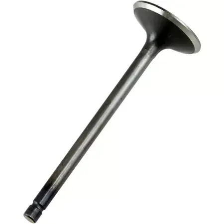 Auslassventil Prox Stahl xTx 660 Must-Have