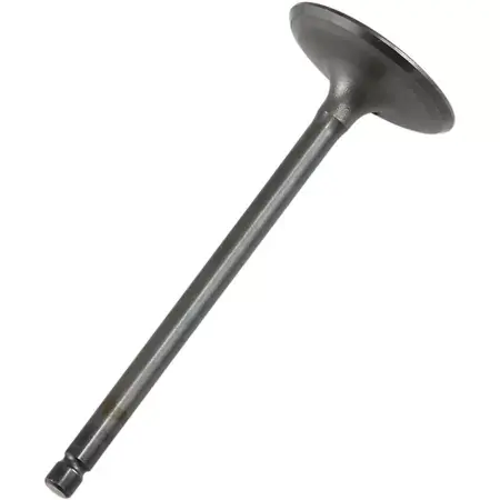 Einlassventil Prox Stahl xTx 660 Neu Im Sortiment