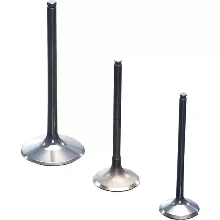 Markenware Auslassventil Prox Titan YZF / WRF 250