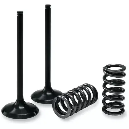 Auslassventil Set Prox mit Federn RM-Z 450 ab 2008 Neue Kollektion