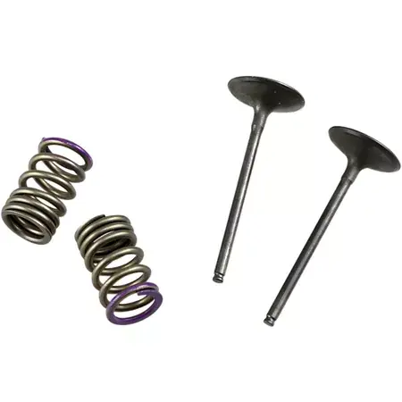 Einlassventil Set Prox mit Federn KXF 250 2007-2008 Super-Preis