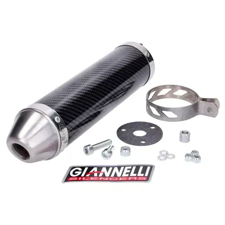 Endschalldämpfer Giannelli Street Carbon Aprilia RS / Yamaha TZR Sofort Bestellen